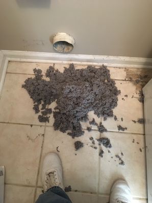 Dryer Vent Cleaning in Jacksonville, FL (1)
